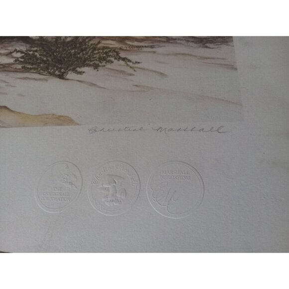 Unframed Limited Edition Cheetah Desert Landscape Print by Artist Marshall - Picture 3 of 4